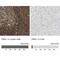 Formin Like 1 antibody, NBP1-88460, Novus Biologicals, Immunohistochemistry paraffin image 