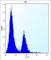 Carbonic Anhydrase 1 antibody, abx026934, Abbexa, Western Blot image 