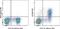 Sialic Acid Binding Ig Like Lectin 1 antibody, 12-5755-82, Invitrogen Antibodies, Flow Cytometry image 