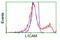 L1 Cell Adhesion Molecule antibody, LS-C115424, Lifespan Biosciences, Flow Cytometry image 