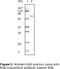 Albumin antibody, LS-C47148, Lifespan Biosciences, Western Blot image 