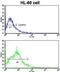 Beta-Secretase 2 antibody, abx032689, Abbexa, Flow Cytometry image 