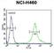 Phospholipid Phosphatase Related 4 antibody, abx032362, Abbexa, Western Blot image 