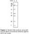 MutS Homolog 2 antibody, NB100-1767, Novus Biologicals, Western Blot image 