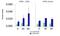 Protein Arginine Methyltransferase 6 antibody, GTX47433, GeneTex, Chromatin Immunoprecipitation image 