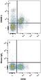 CD226 Molecule antibody, FAB666P, R&D Systems, Flow Cytometry image 