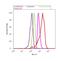 Ceruloplasmin antibody, LF-MA0159, Invitrogen Antibodies, Flow Cytometry image 