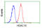 Histone Deacetylase 10 antibody, GTX84388, GeneTex, Flow Cytometry image 