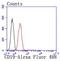 CD19 antibody, NBP2-67228, Novus Biologicals, Flow Cytometry image 