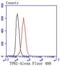 TPH1 antibody, NBP2-67580, Novus Biologicals, Flow Cytometry image 