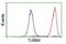 Tubulin Beta 4A Class IVa antibody, NBP2-00812, Novus Biologicals, Flow Cytometry image 