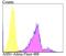 Argininosuccinate Synthase 1 antibody, NBP2-76941, Novus Biologicals, Flow Cytometry image 