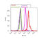 Synuclein Alpha antibody, 32-8200, Invitrogen Antibodies, Flow Cytometry image 