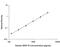 Vascular Endothelial Growth Factor D antibody, DVED00, R&D Systems, Enzyme Linked Immunosorbent Assay image 