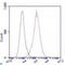 Structural Maintenance Of Chromosomes 1A antibody, LS-C813120, Lifespan Biosciences, Flow Cytometry image 