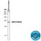 Patatin Like Phospholipase Domain Containing 2 antibody, AF5365, R&D Systems, Western Blot image 