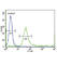 Insulin Like Growth Factor Binding Protein 4 antibody, abx033082, Abbexa, Western Blot image 