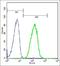 Eukaryotic Translation Initiation Factor 3 Subunit E antibody, orb330532, Biorbyt, Flow Cytometry image 