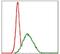 MutS Homolog 6 antibody, MA5-17129, Invitrogen Antibodies, Flow Cytometry image 