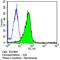 Caudal Type Homeobox 2 antibody, MA5-14494, Invitrogen Antibodies, Flow Cytometry image 