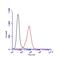 Glypican 1 antibody, NBP1-33197, Novus Biologicals, Flow Cytometry image 