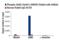 Signal Transducer And Activator Of Transcription 6 antibody, 56554S, Cell Signaling Technology, Chromatin Immunoprecipitation image 