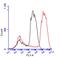 Arginase 1 antibody, GTX109242, GeneTex, Flow Cytometry image 