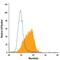 Mesothelin antibody, FAB32652F, R&D Systems, Flow Cytometry image 