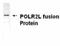 RNA Polymerase II Subunit L antibody, NB120-14254, Novus Biologicals, Western Blot image 