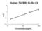 Transforming Growth Factor Beta Receptor 2 antibody, EK1307, Boster Biological Technology, Enzyme Linked Immunosorbent Assay image 