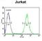 Glutaredoxin 5 antibody, abx032386, Abbexa, Western Blot image 