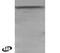 ADAM Metallopeptidase Domain 17 antibody, PA1-9003, Invitrogen Antibodies, Western Blot image 