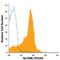 CD166 antigen antibody, FAB6561P, R&D Systems, Flow Cytometry image 