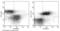 Syndecan 4 antibody, 50726-R112-P, Sino Biological, Flow Cytometry image 