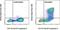 iNOS antibody, 53-5920-80, Invitrogen Antibodies, Flow Cytometry image 