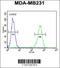 Alpha-Methylacyl-CoA Racemase antibody, 55-041, ProSci, Flow Cytometry image 