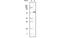 Keratin 1 antibody, MBS830793, MyBioSource, Western Blot image 