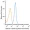 Galectin 3 antibody, NB300-538AF647, Novus Biologicals, Flow Cytometry image 