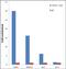 JunB Proto-Oncogene, AP-1 Transcription Factor Subunit antibody, 710734, Invitrogen Antibodies, Chromatin Immunoprecipitation image 