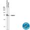 Fetuin B antibody, AF1725, R&D Systems, Western Blot image 