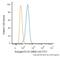 Endoglin antibody, NB500-452F, Novus Biologicals, Flow Cytometry image 