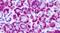 Metabotropic glutamate receptor 4 antibody, PA5-33821, Invitrogen Antibodies, Immunohistochemistry paraffin image 