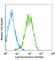 Endothelial Cell Adhesion Molecule antibody, 136205, BioLegend, Flow Cytometry image 