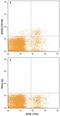 Killer Cell Immunoglobulin Like Receptor, Three Ig Domains And Long Cytoplasmic Tail 2 antibody, MAB2878, R&D Systems, Flow Cytometry image 