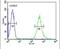 Homeobox A3 antibody, PA5-26887, Invitrogen Antibodies, Flow Cytometry image 