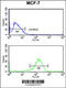 Interleukin 10 Receptor Subunit Alpha antibody, 63-634, ProSci, Flow Cytometry image 