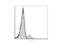 Integrin Subunit Alpha E antibody, LS-C811081, Lifespan Biosciences, Flow Cytometry image 