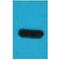 TAP Tag antibody, LS-C387415, Lifespan Biosciences, Western Blot image 