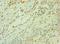 CD33 Molecule antibody, LS-C375419, Lifespan Biosciences, Immunohistochemistry frozen image 