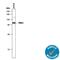 Protein Kinase C Theta antibody, AF4368, R&D Systems, Western Blot image 